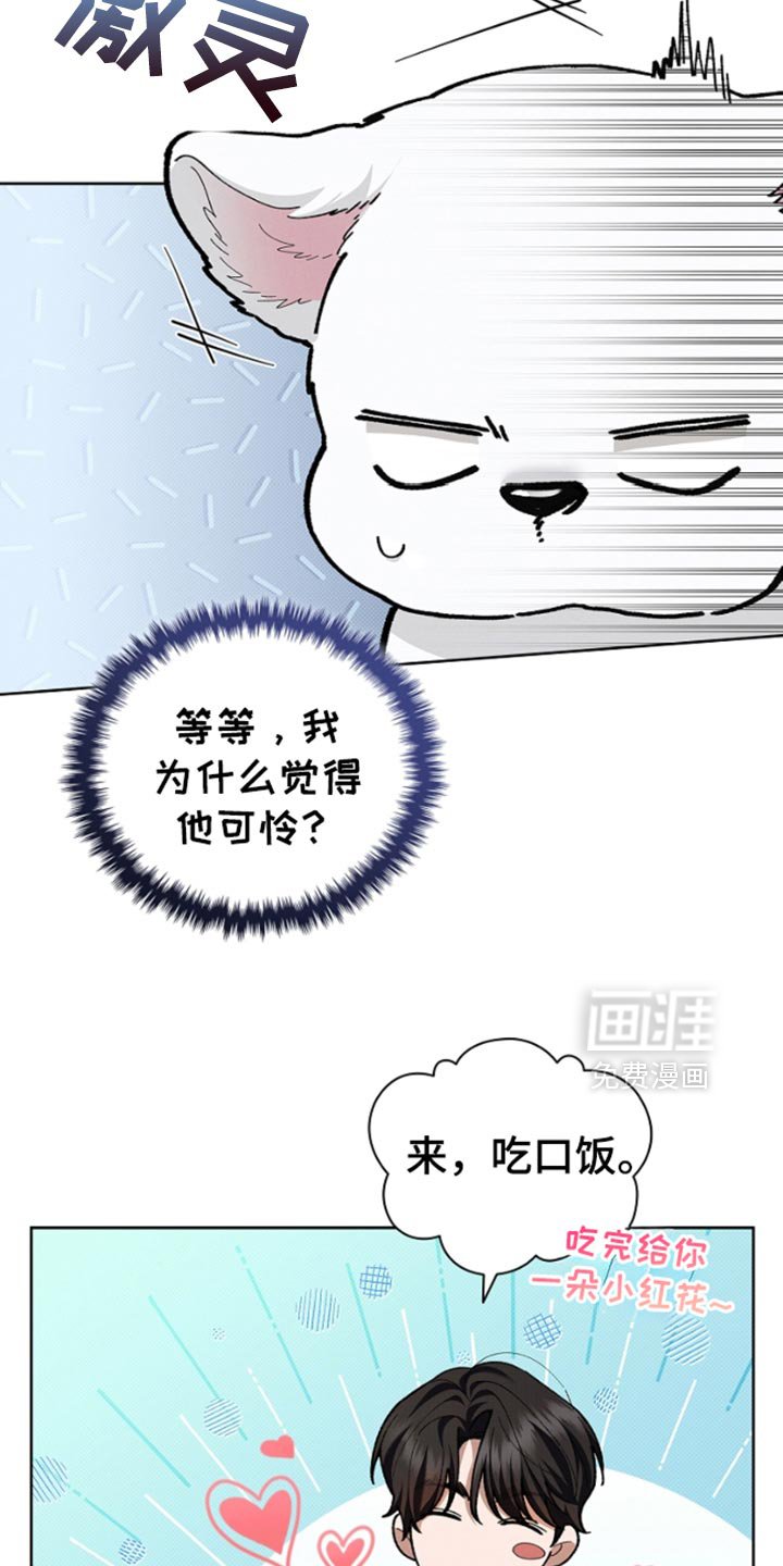 第28章：有点可怜