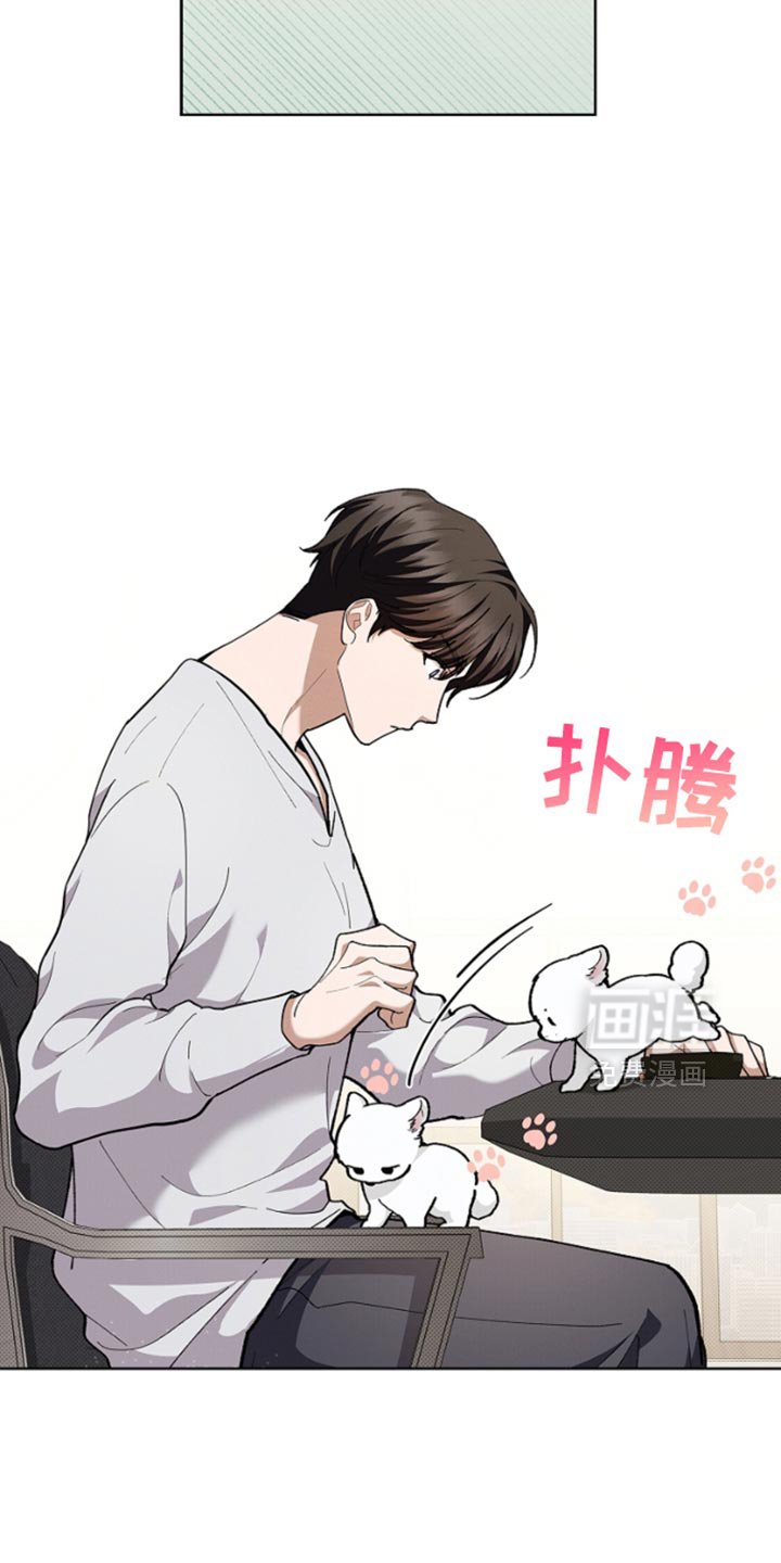 第29章：监视者