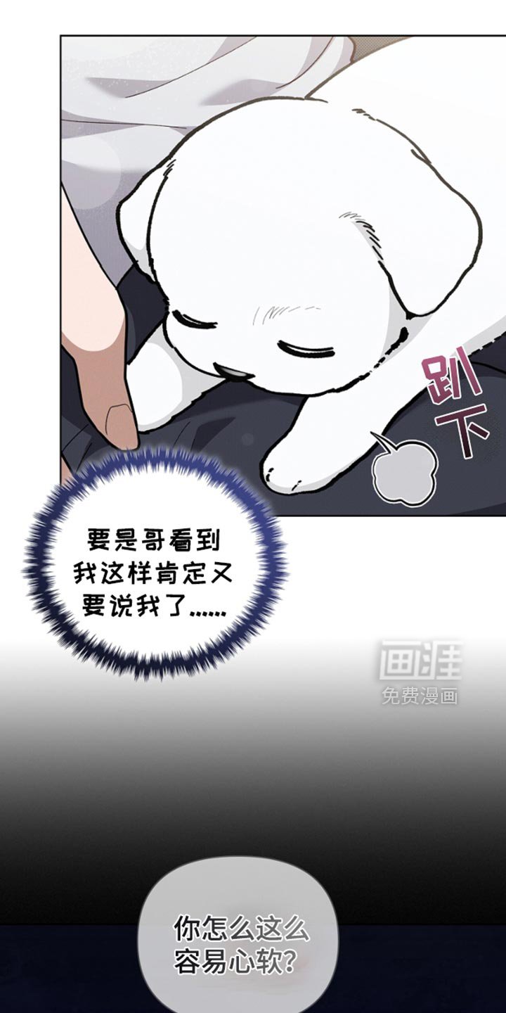 第29章：监视者