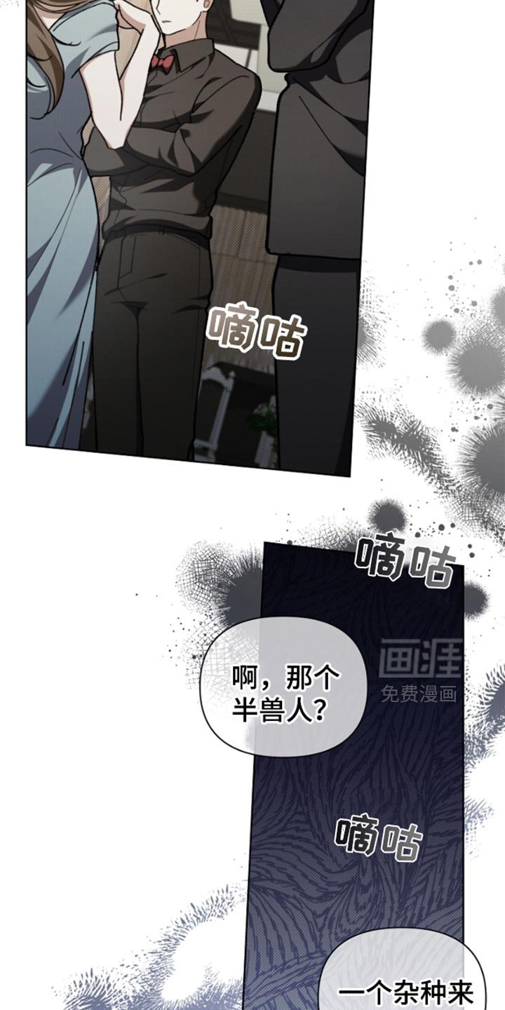 第29章：监视者