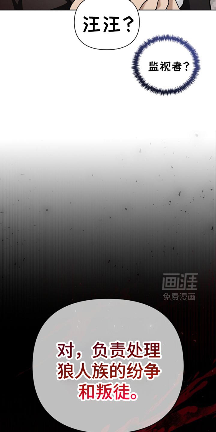 第29章：监视者