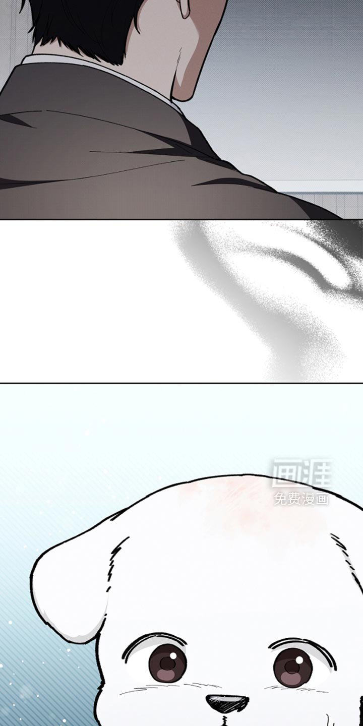 第29章：监视者