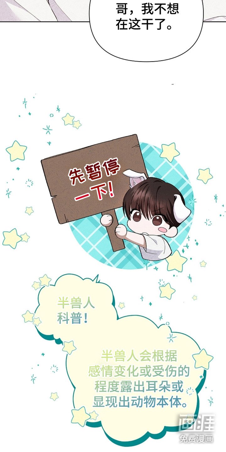 第3章：传闻