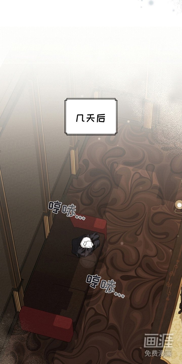 第3章：传闻