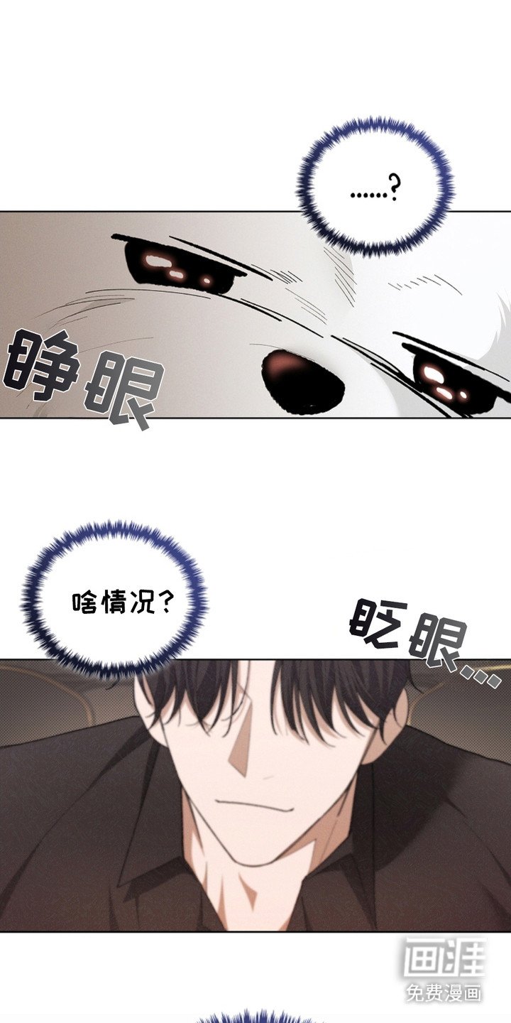第3章：传闻