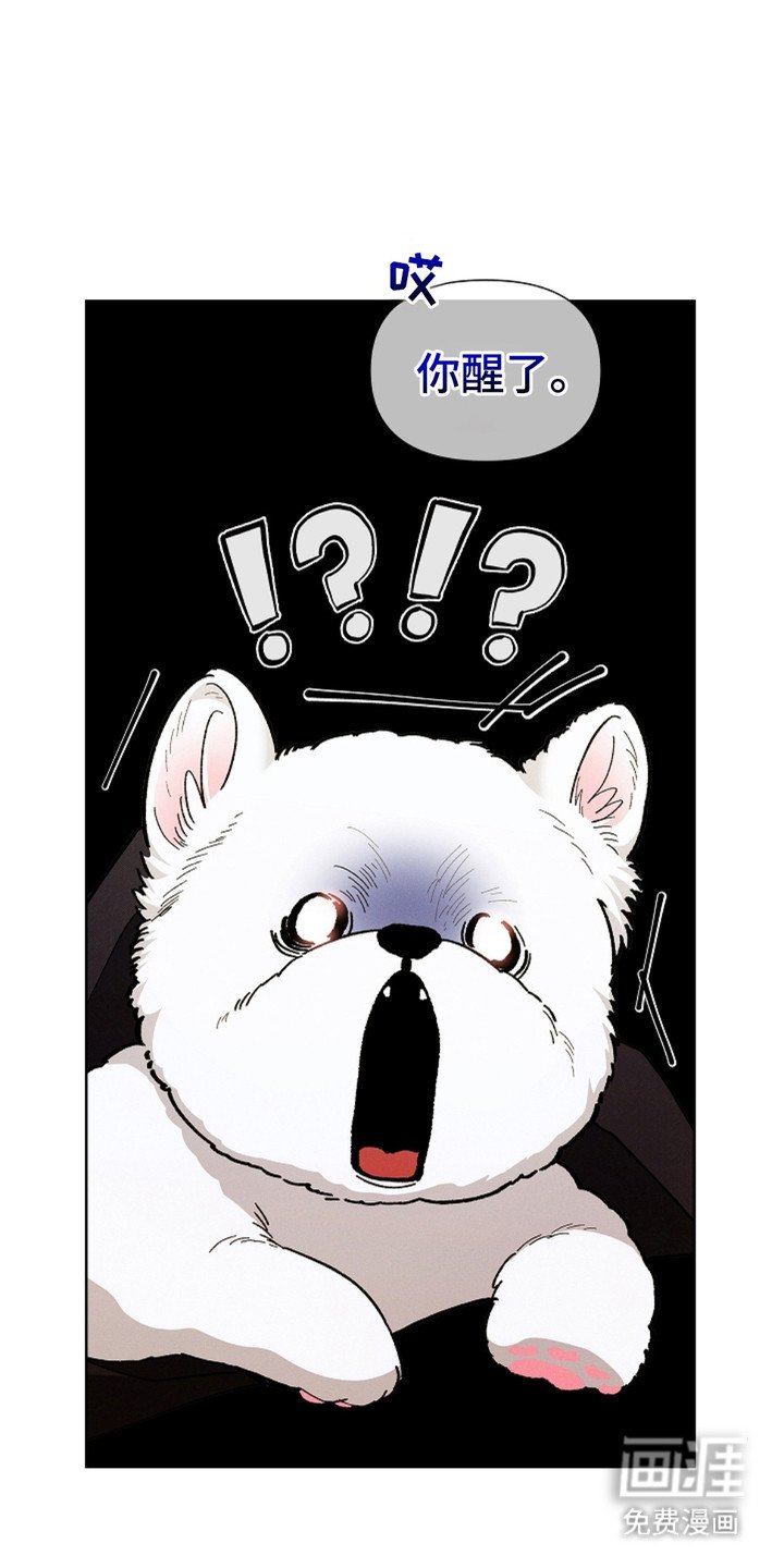 第3章：传闻