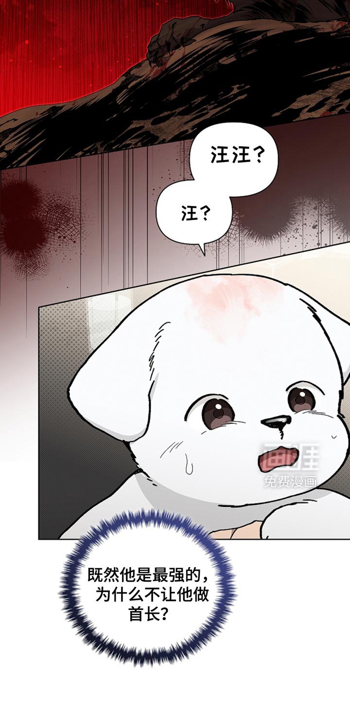 第30章：别垂头丧气