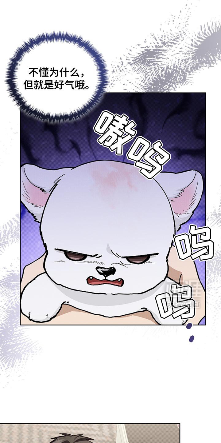 第30章：别垂头丧气
