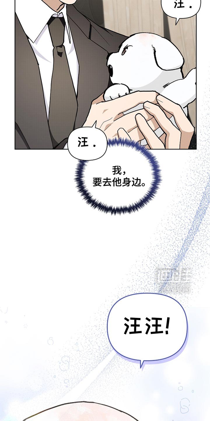 第30章：别垂头丧气