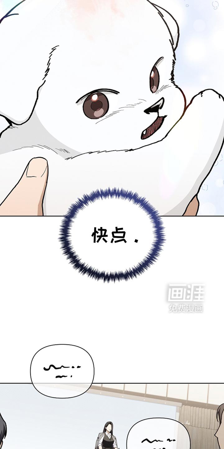 第30章：别垂头丧气