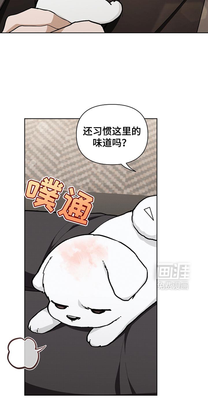 第30章：别垂头丧气