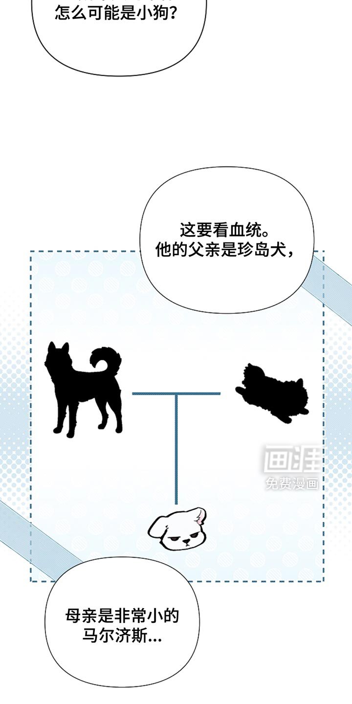 第31章：我猜对了