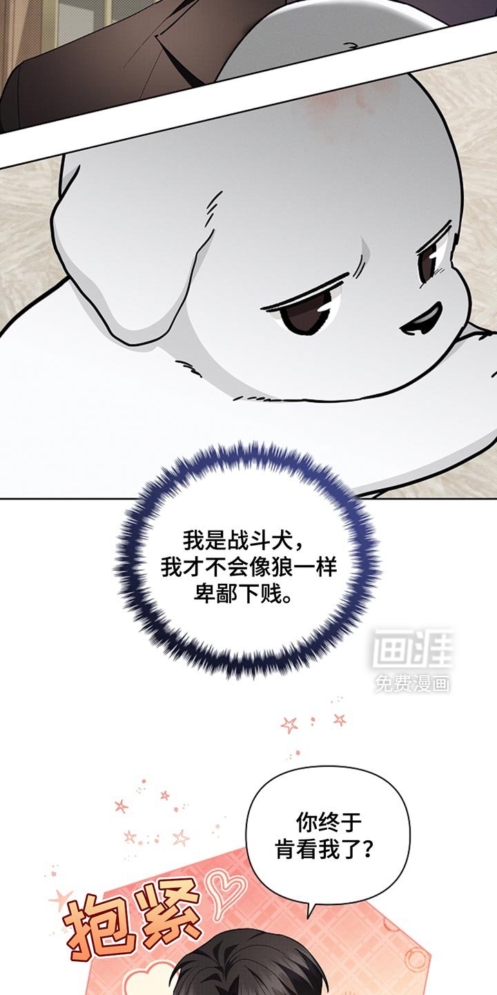 第33章：亲爱的