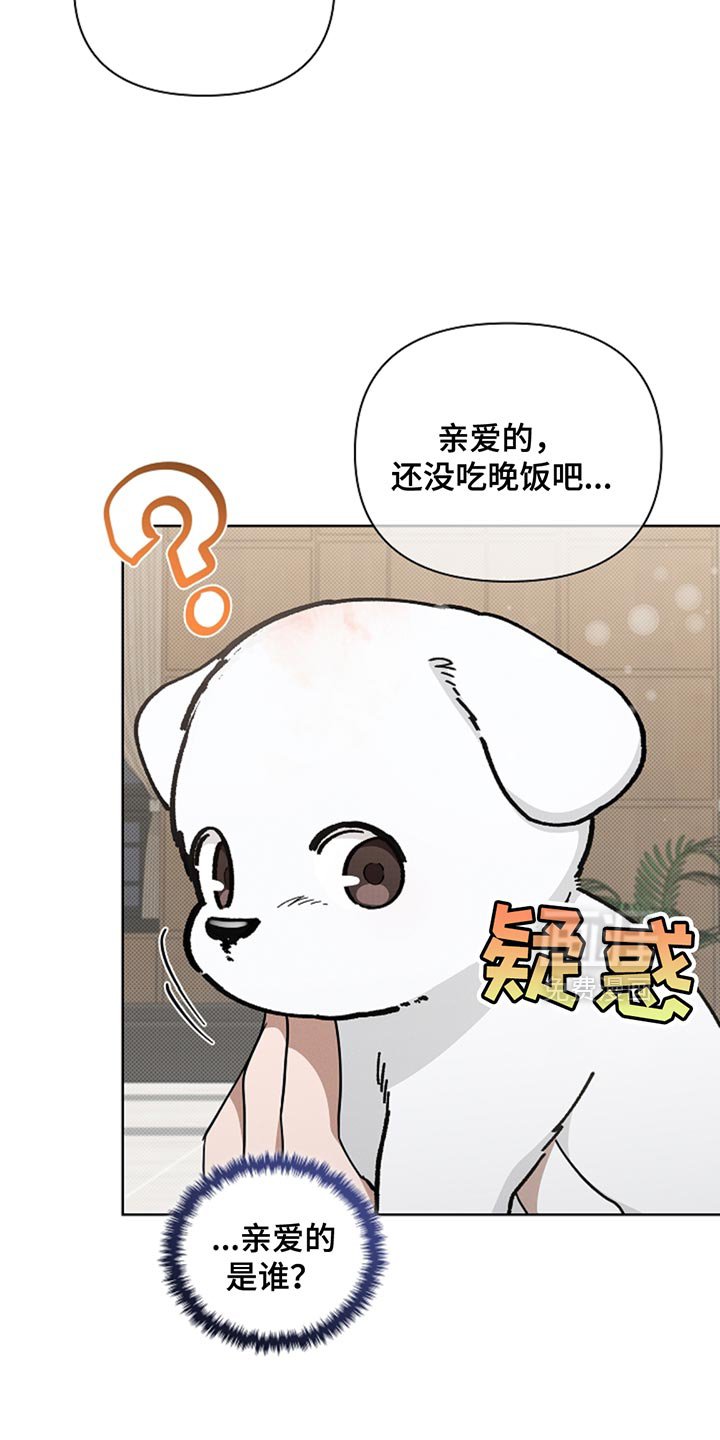 第33章：亲爱的