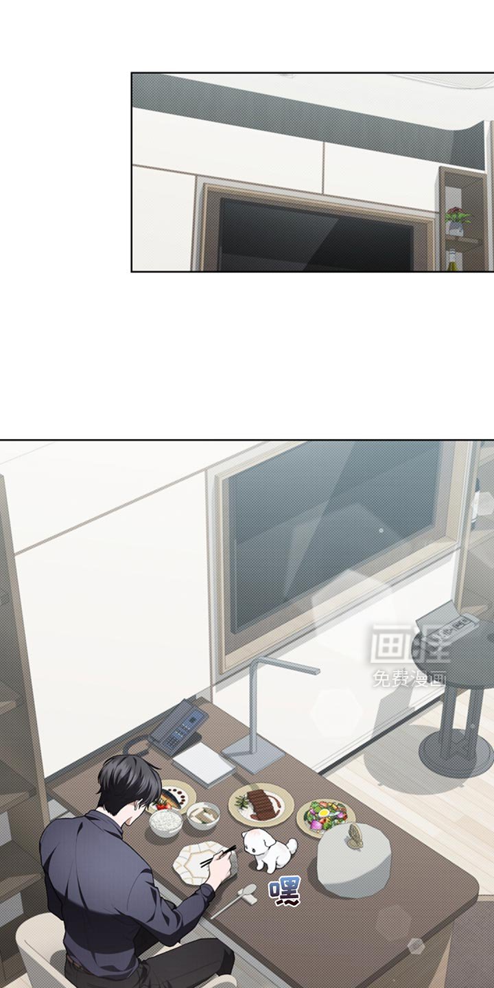 第33章：亲爱的