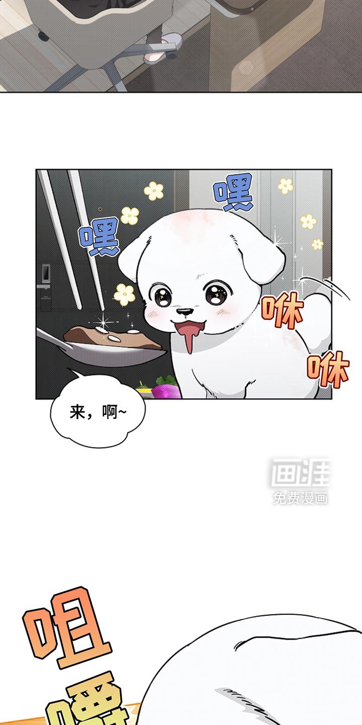 第33章：亲爱的