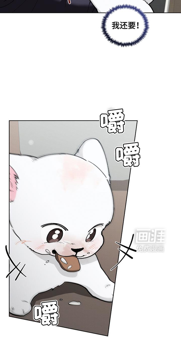 第34章：你也会喜欢我了吧？