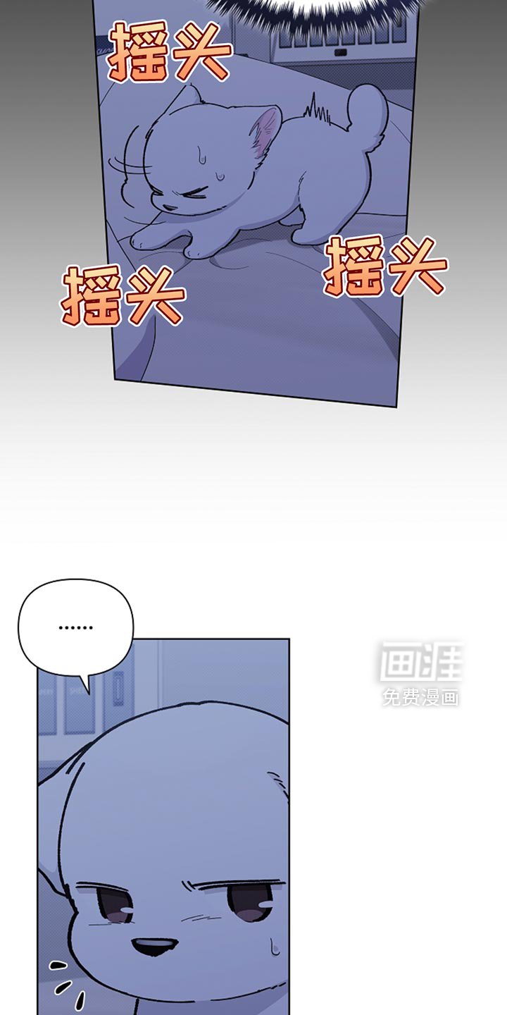 第34章：你也会喜欢我了吧？