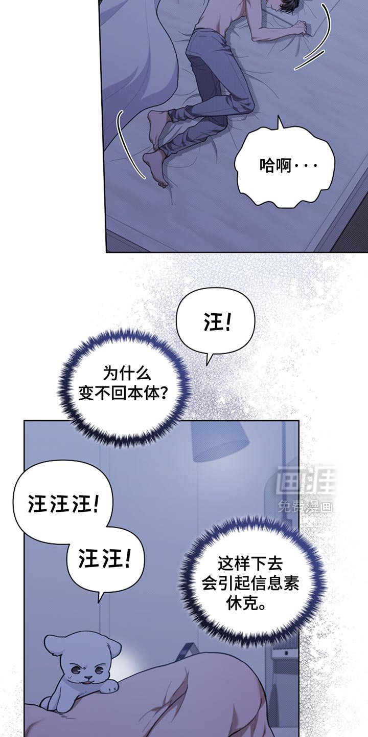 第34章：你也会喜欢我了吧？