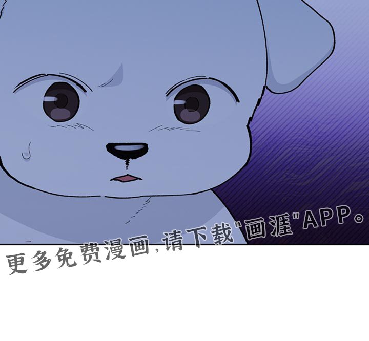 第34章：你也会喜欢我了吧？
