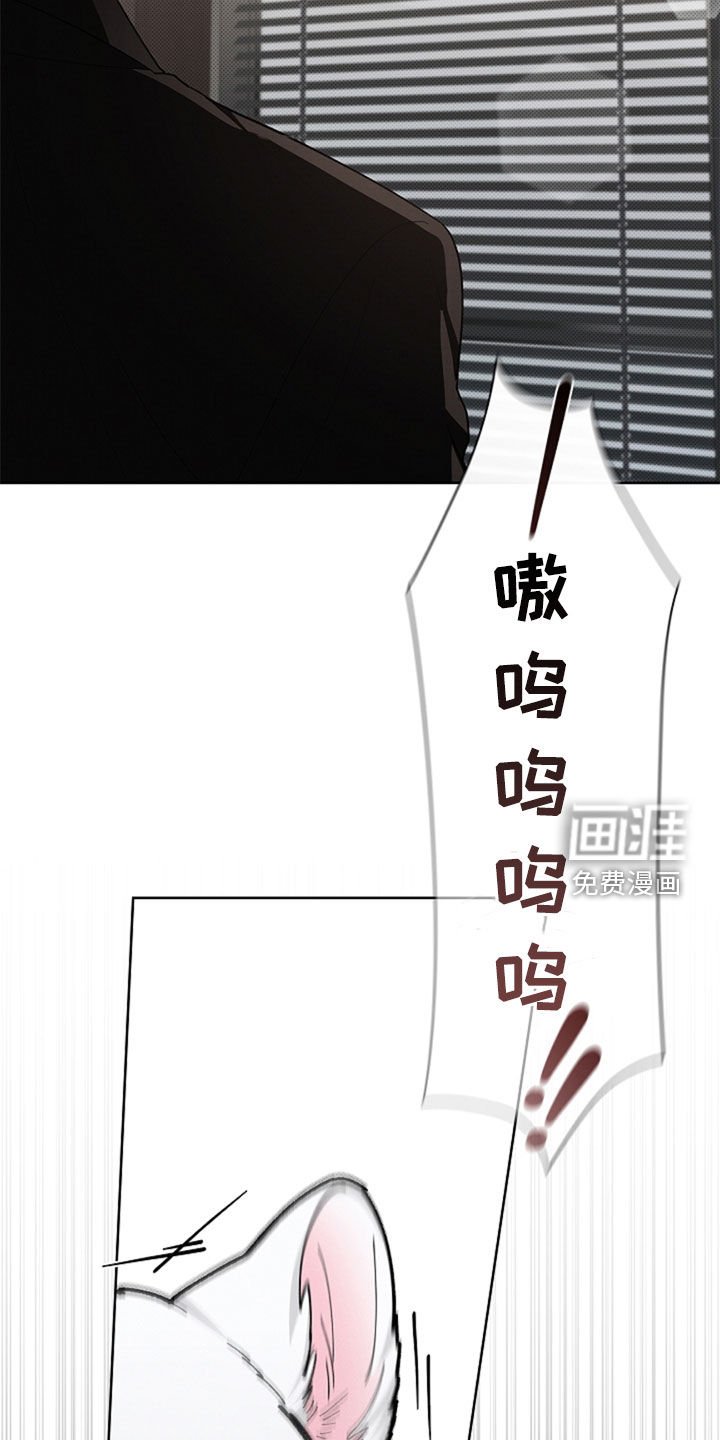 第35章：你算什么东西