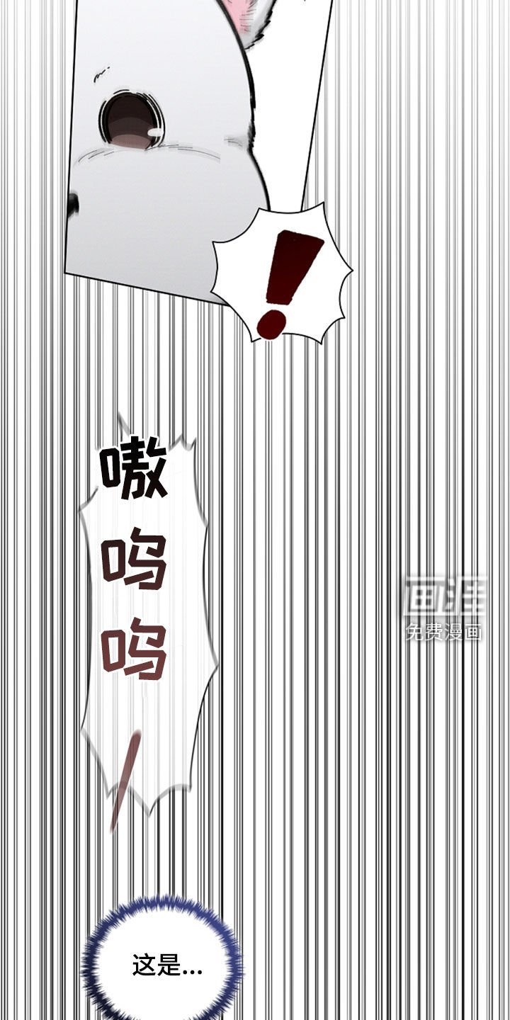 第35章：你算什么东西