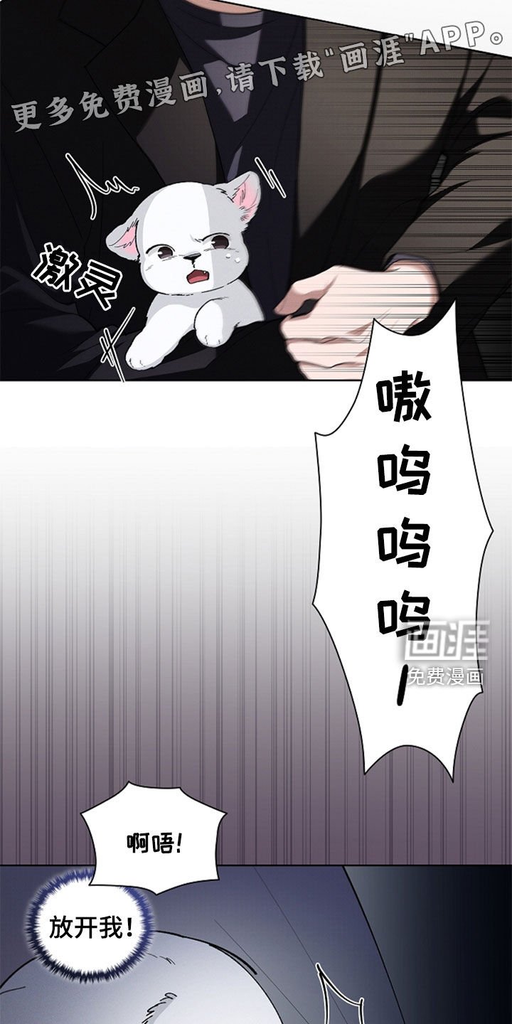 第36章：打电话