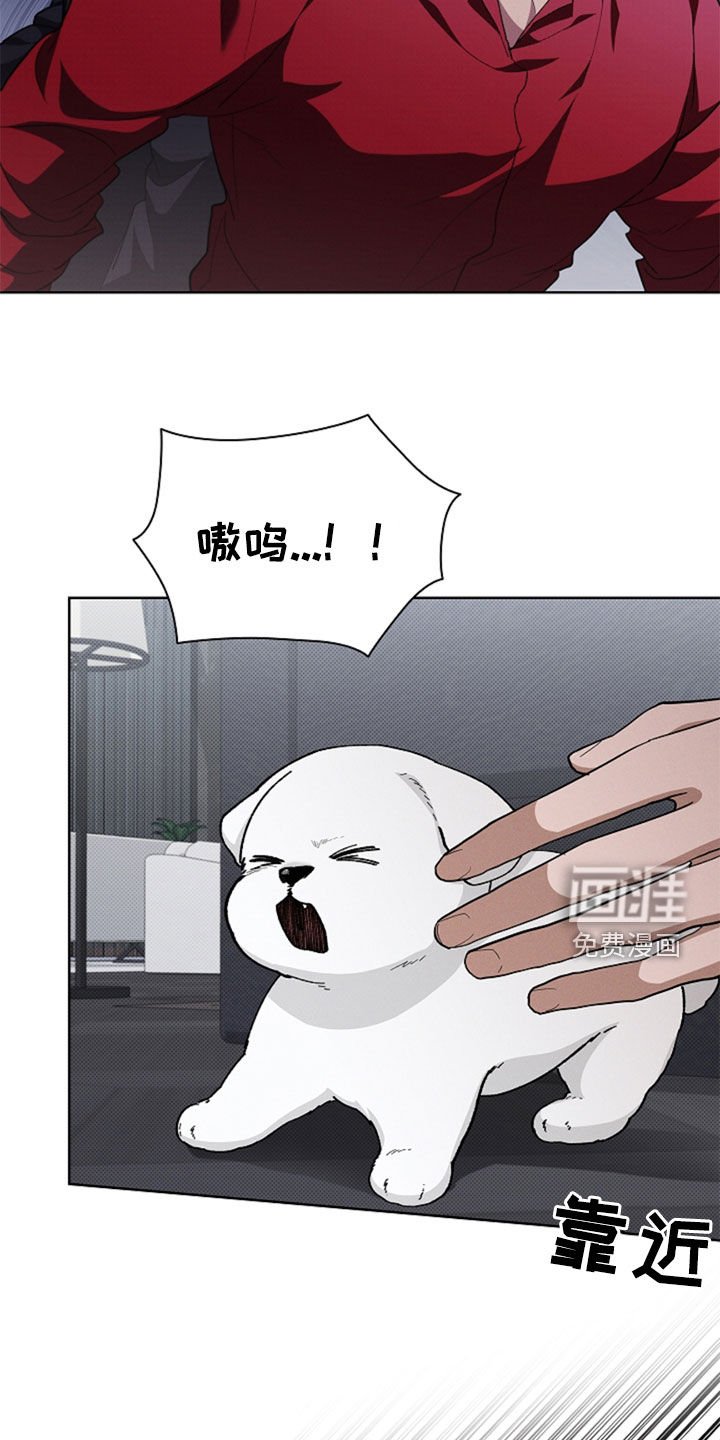 第36章：打电话