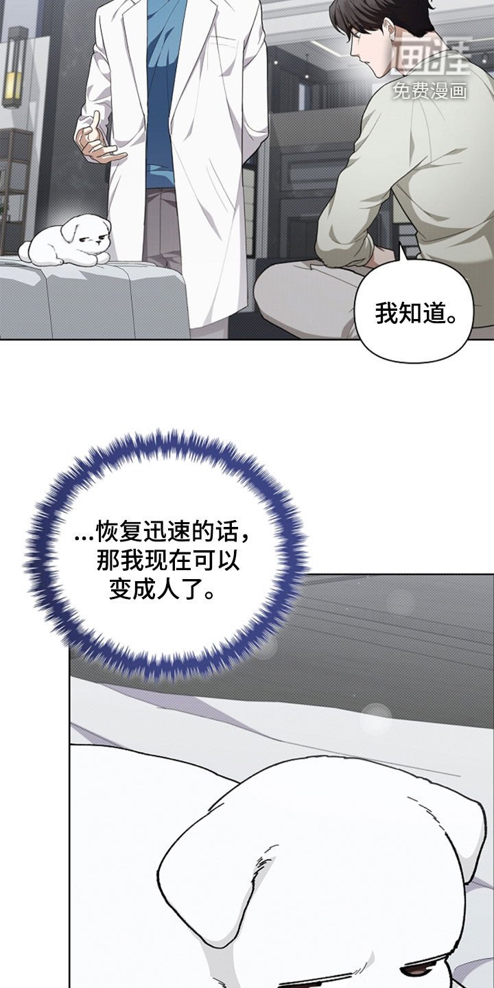 第36章：打电话