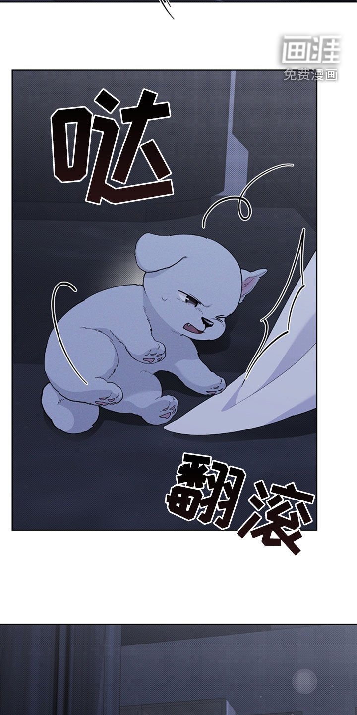 第36章：打电话