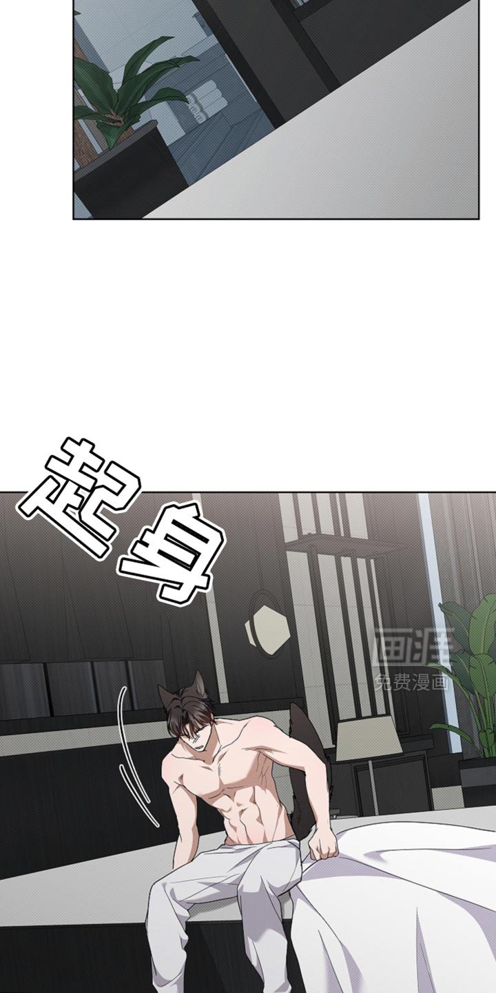 第38章：晕倒