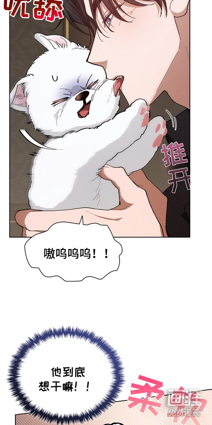 第4章：小零食