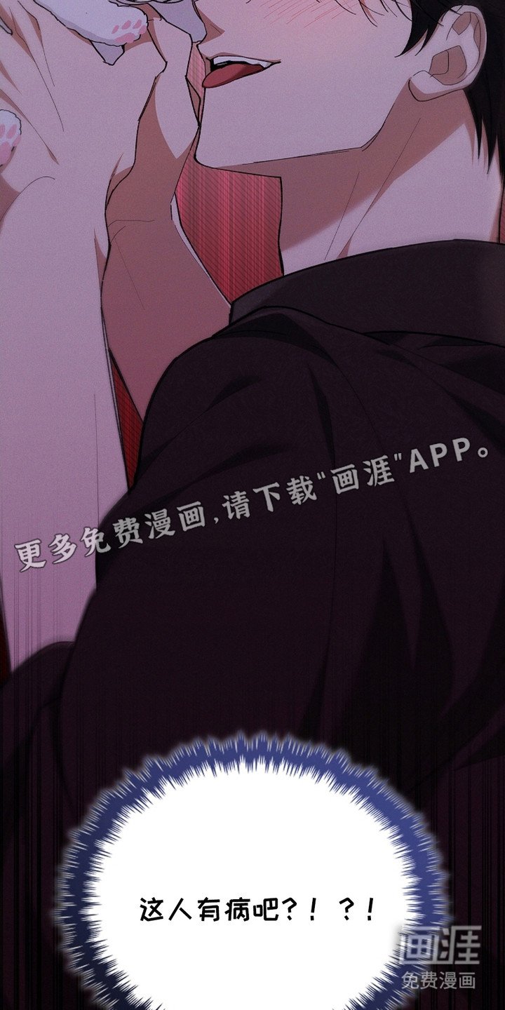 第4章：小零食