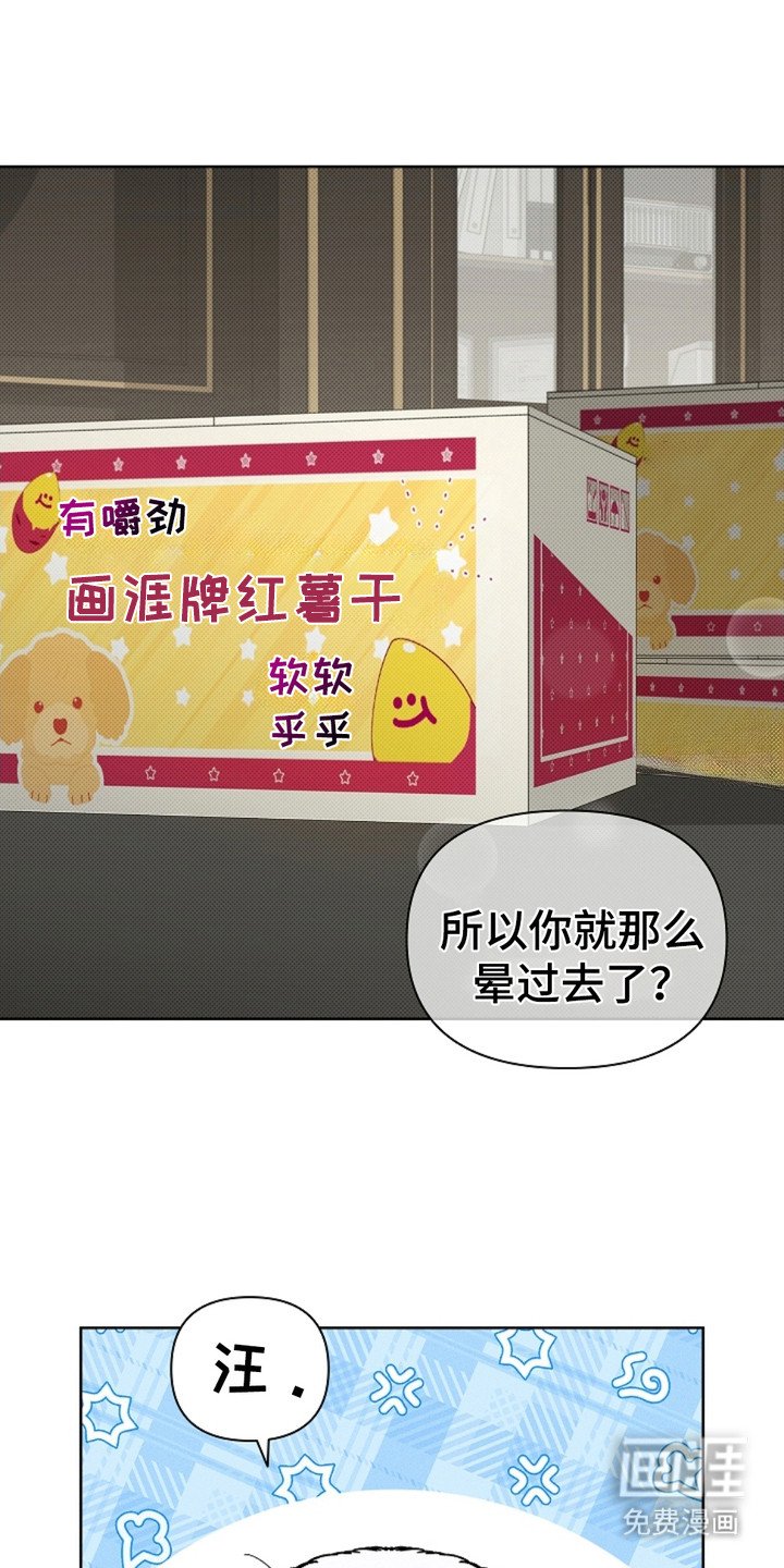 第4章：小零食