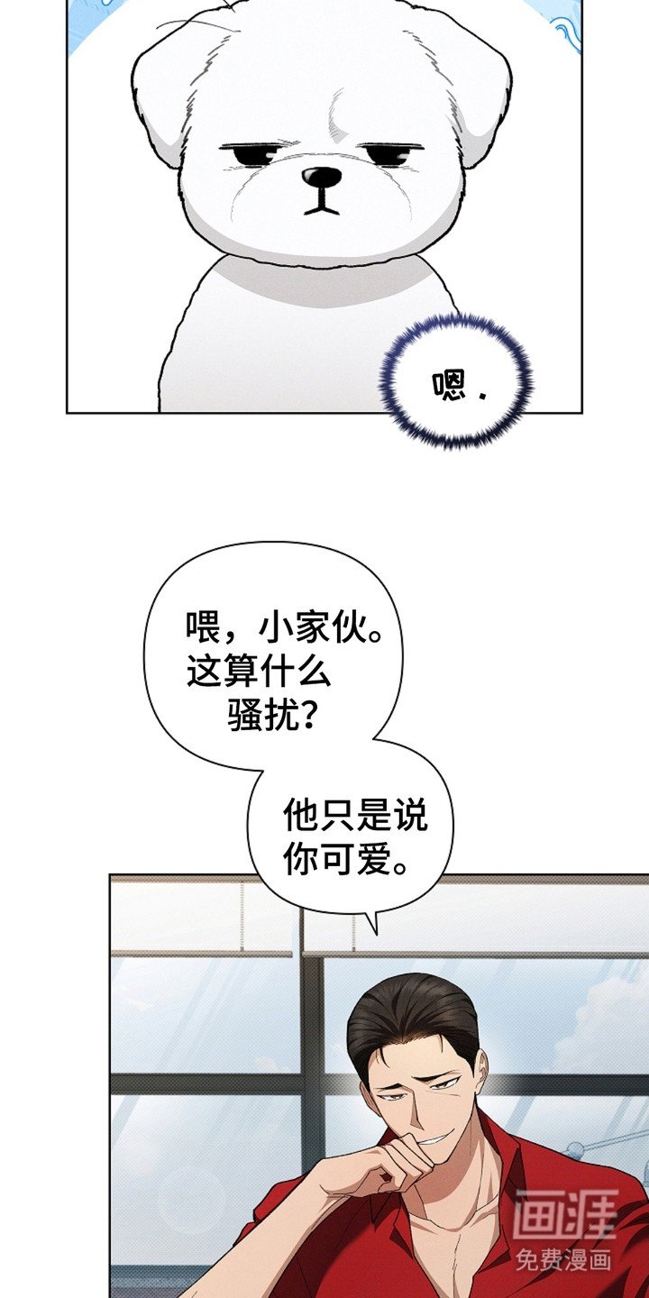 第4章：小零食
