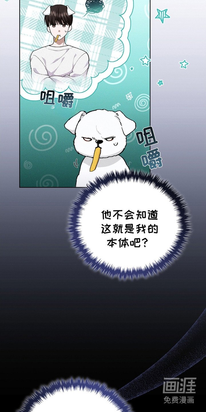 第4章：小零食