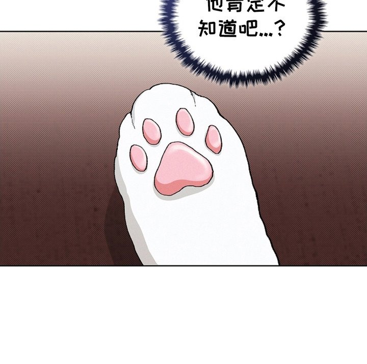 第4章：小零食