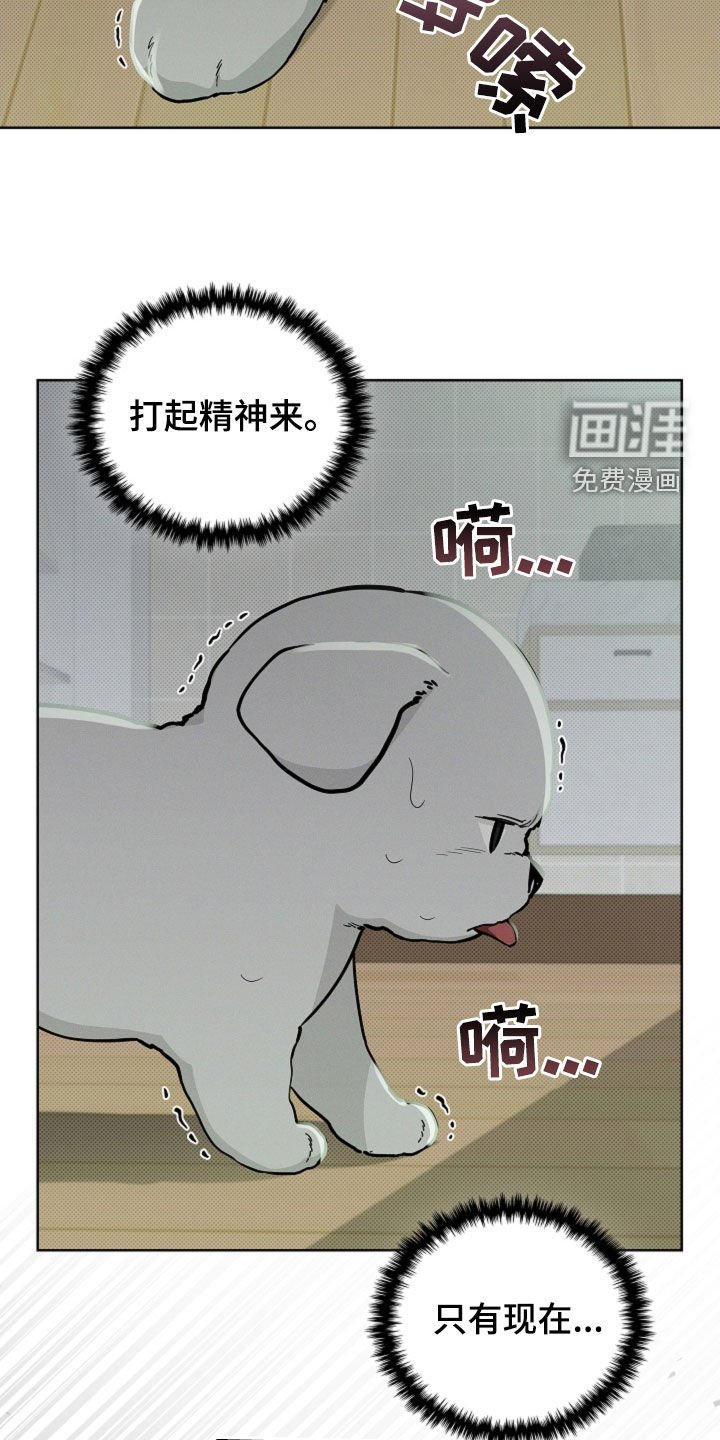 第40章：逃跑