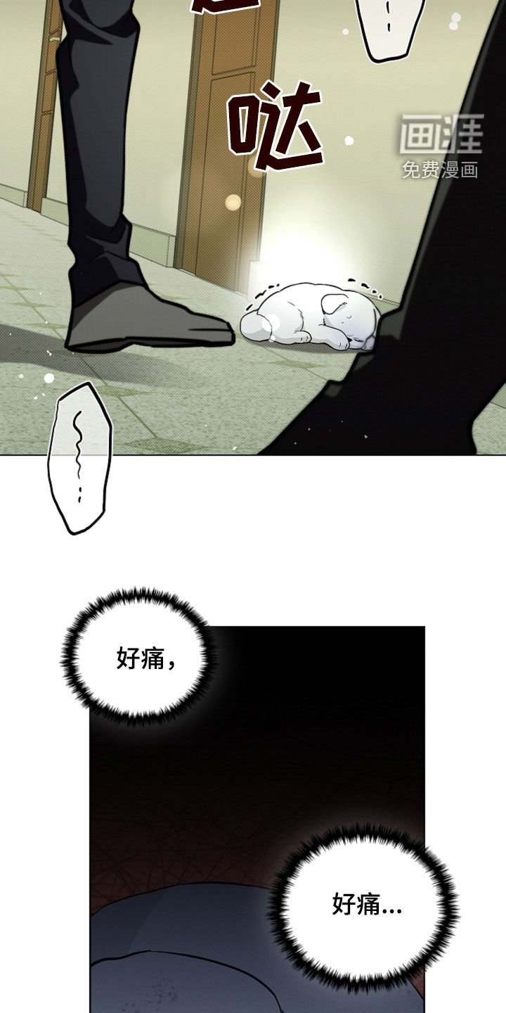 第40章：逃跑