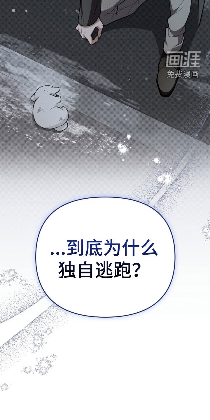 第40章：逃跑