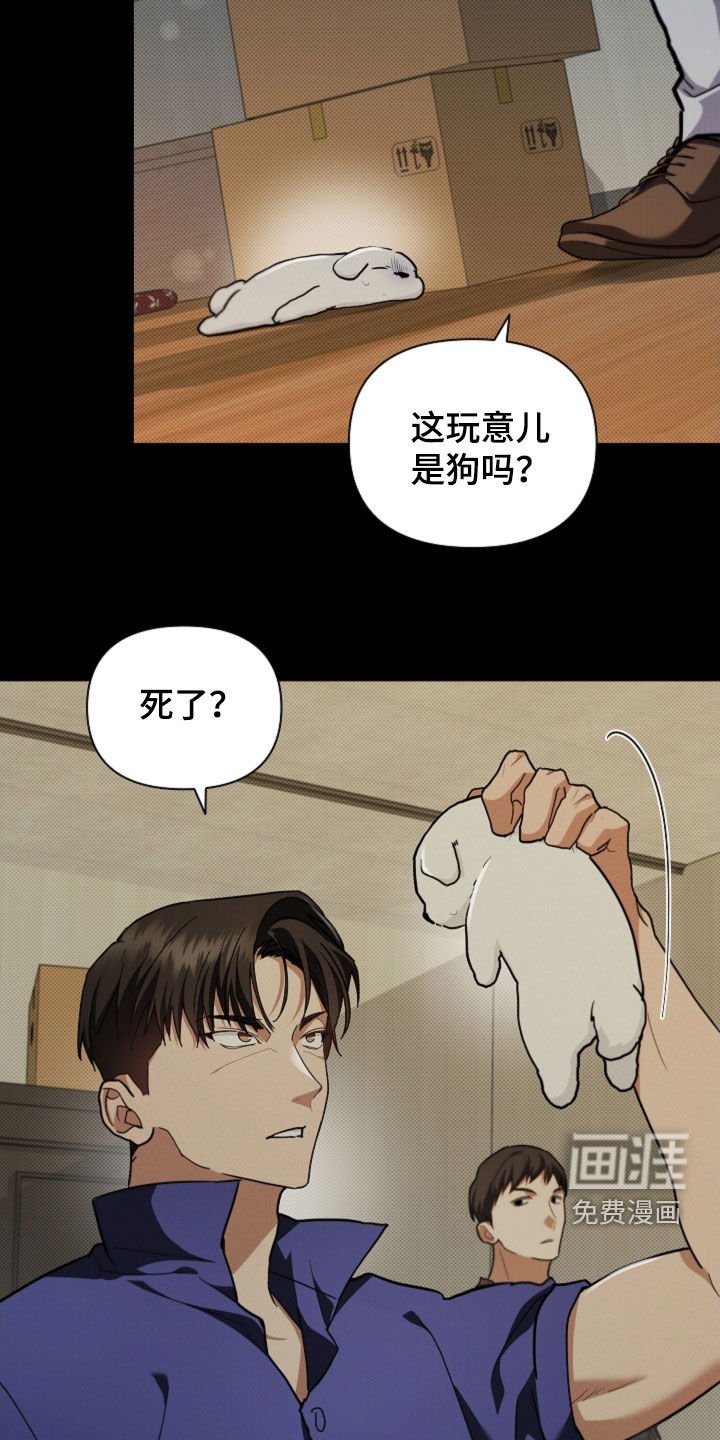 第41章：体弱多病
