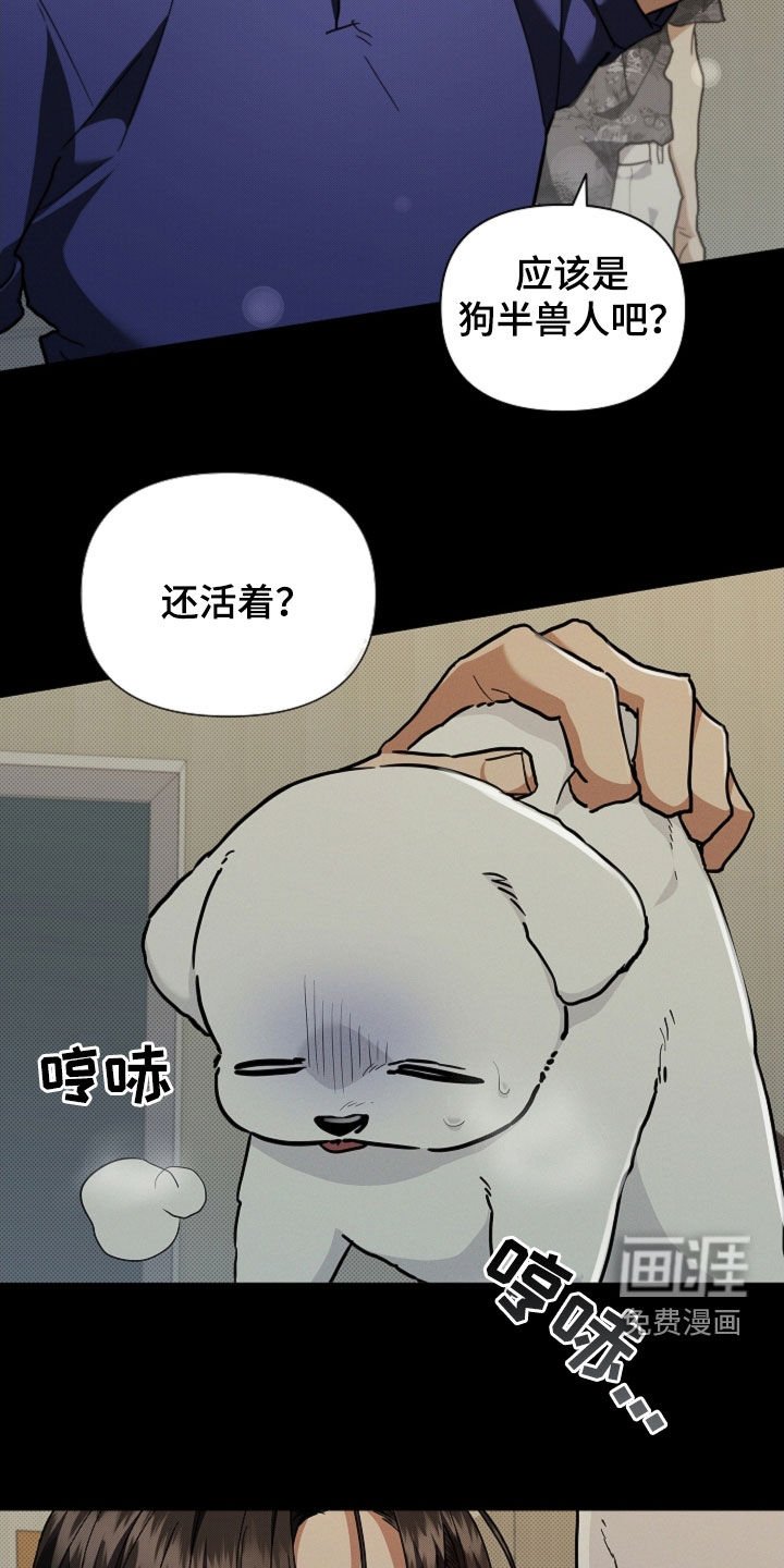 第41章：体弱多病