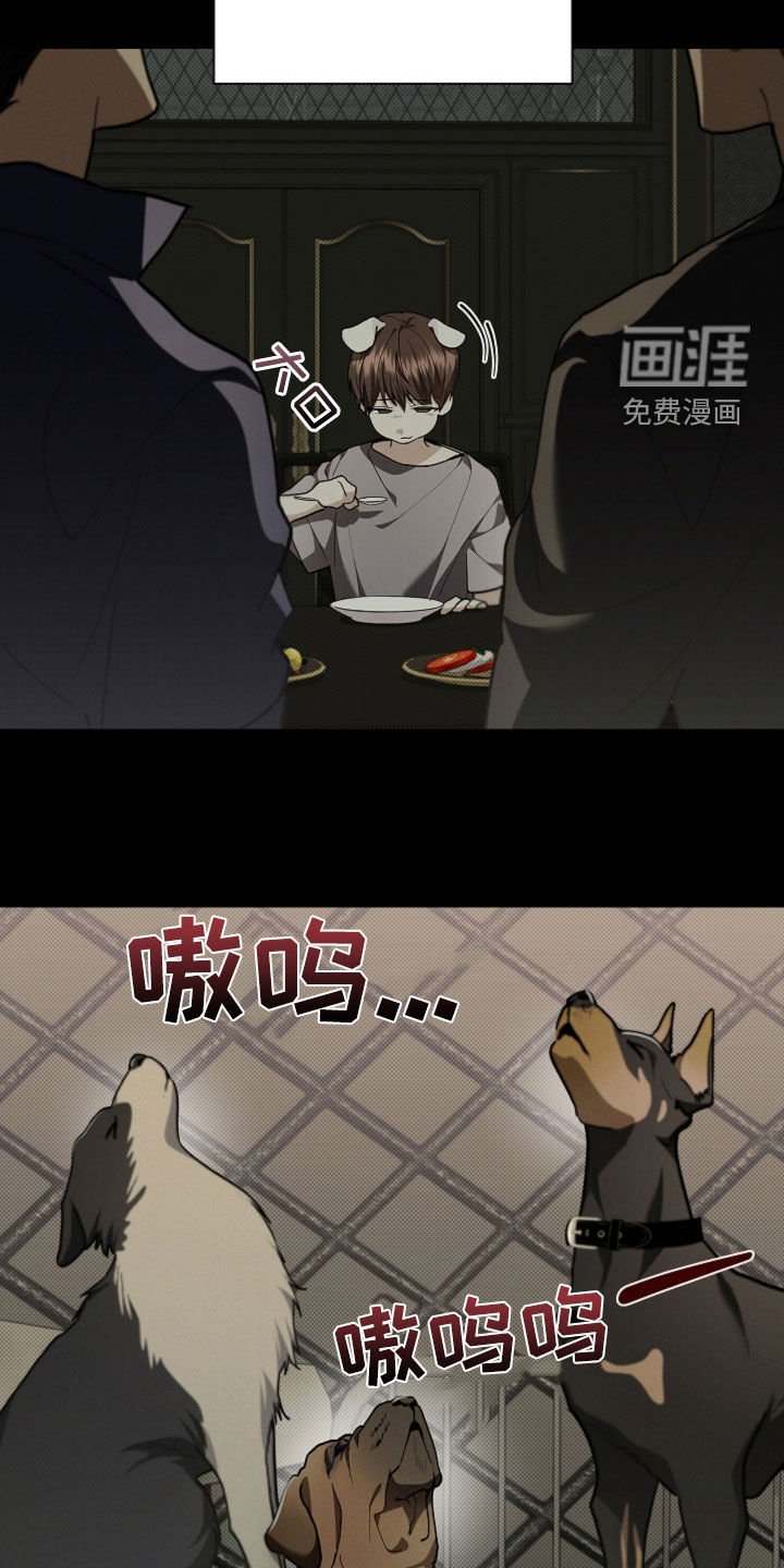 第41章：体弱多病