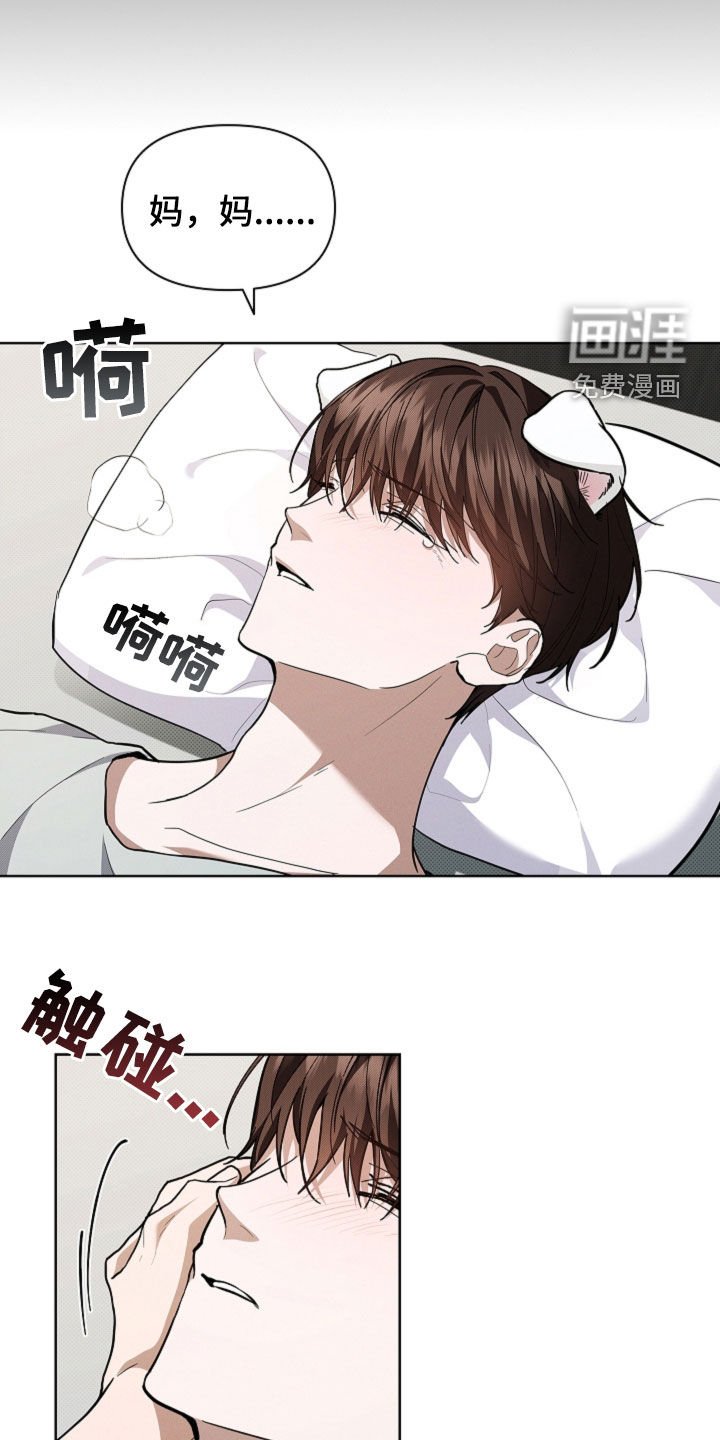 第41章：体弱多病