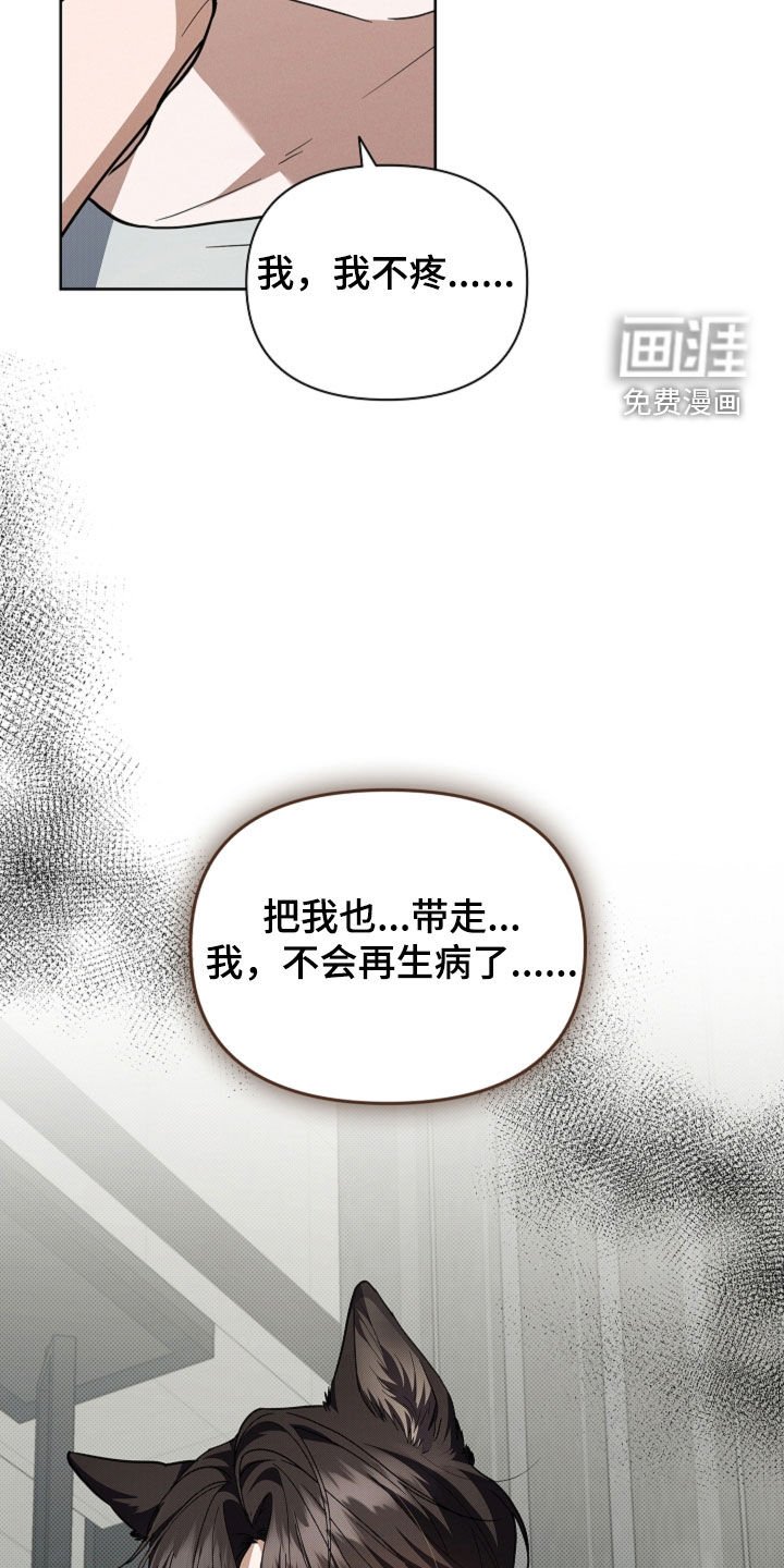 第41章：体弱多病
