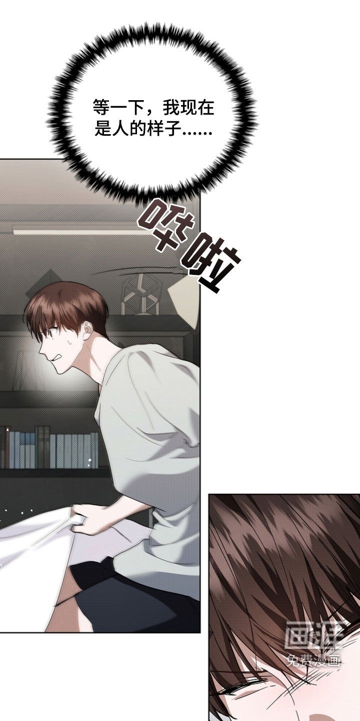 第42章：是不是疯了