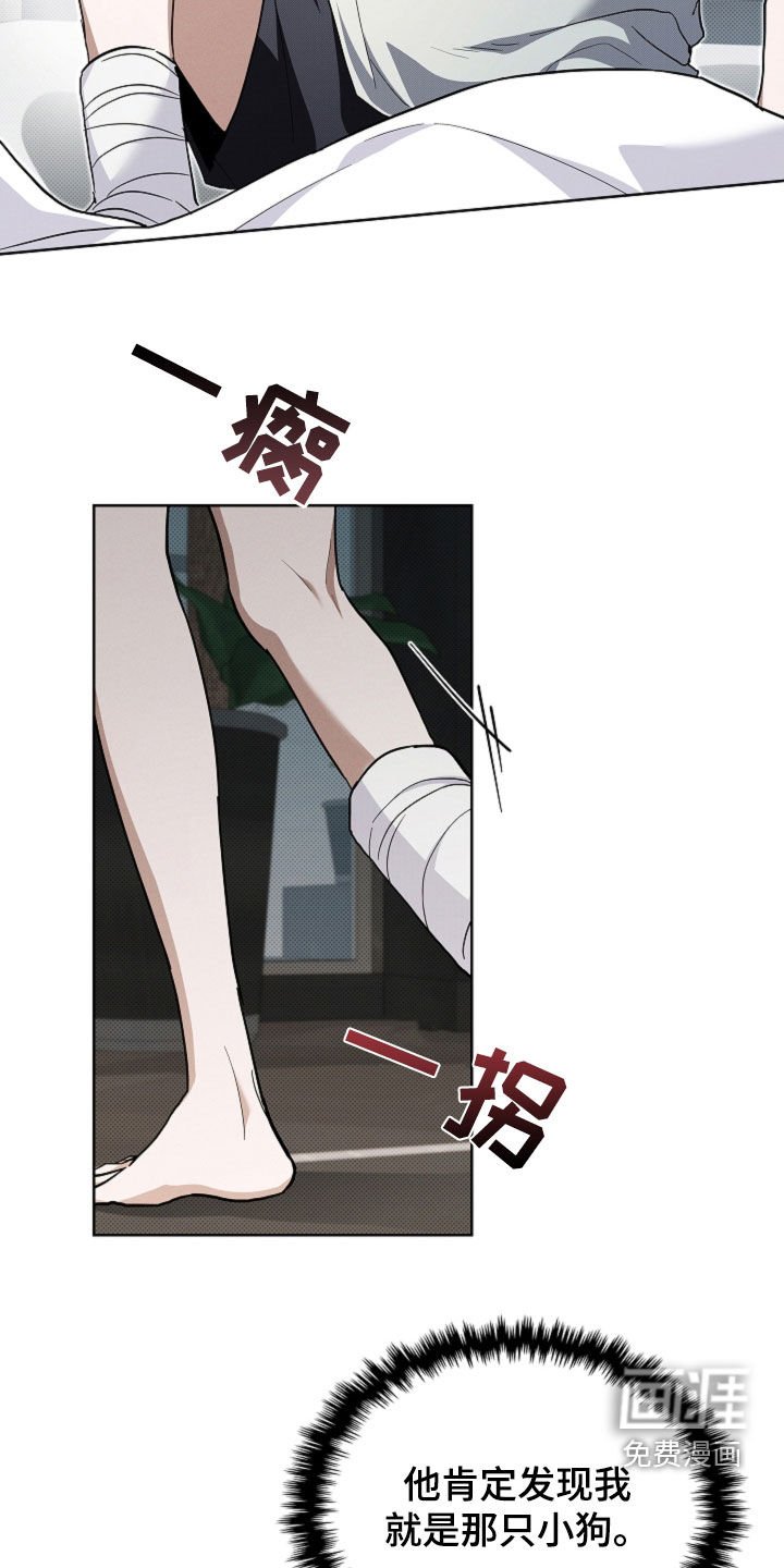 第42章：是不是疯了