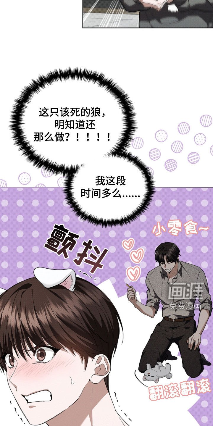 第43章：当男朋友养