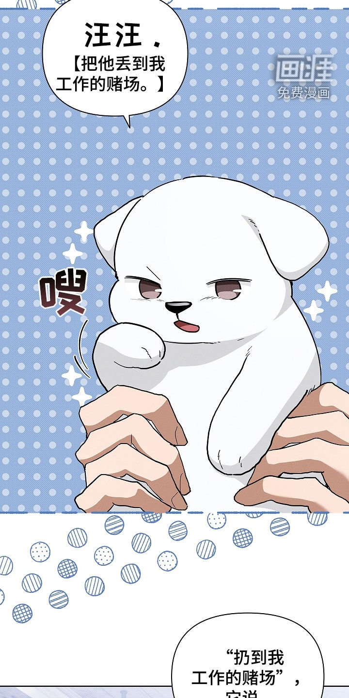 第45章：报仇