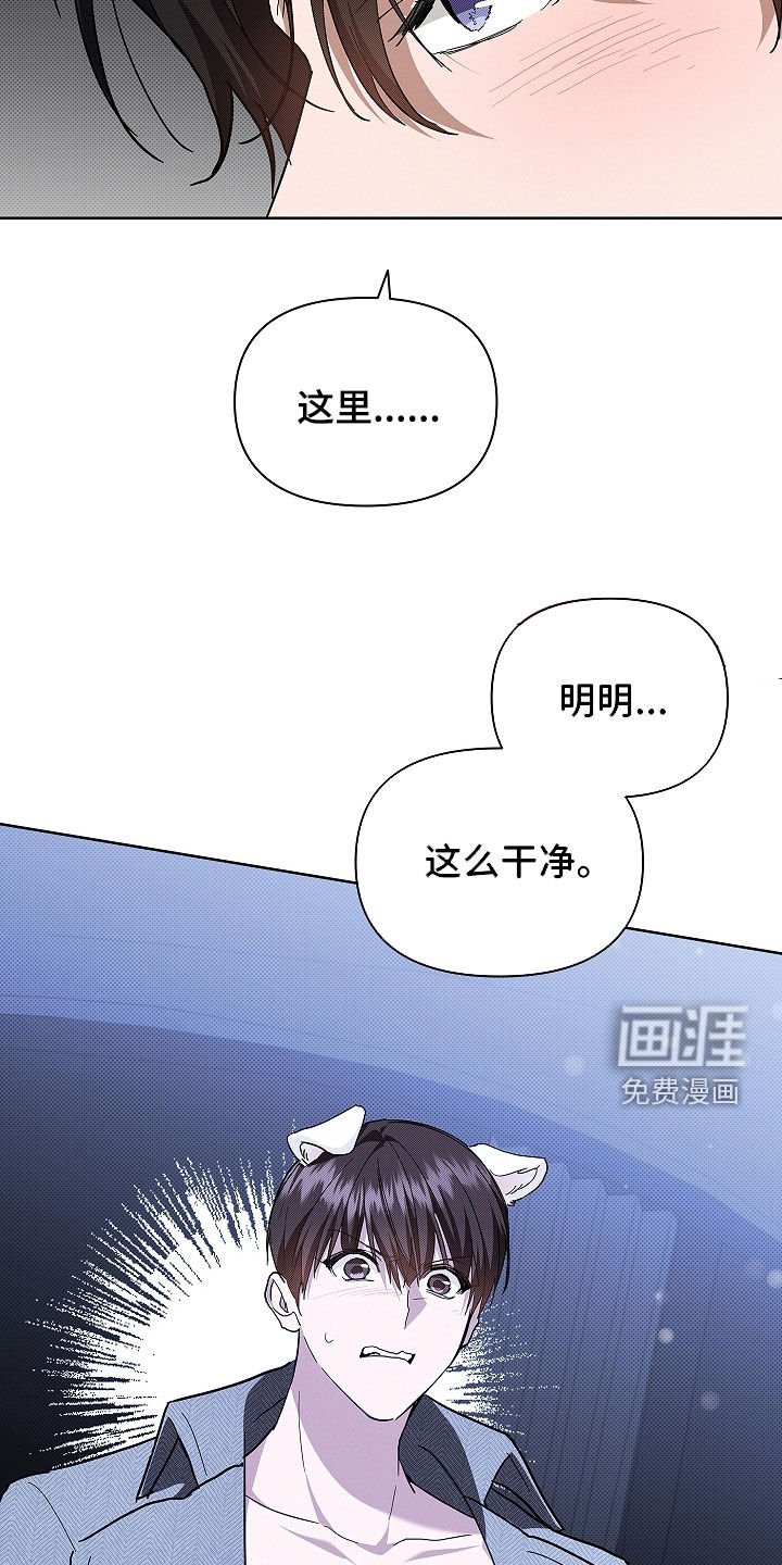 第46章：这是什么